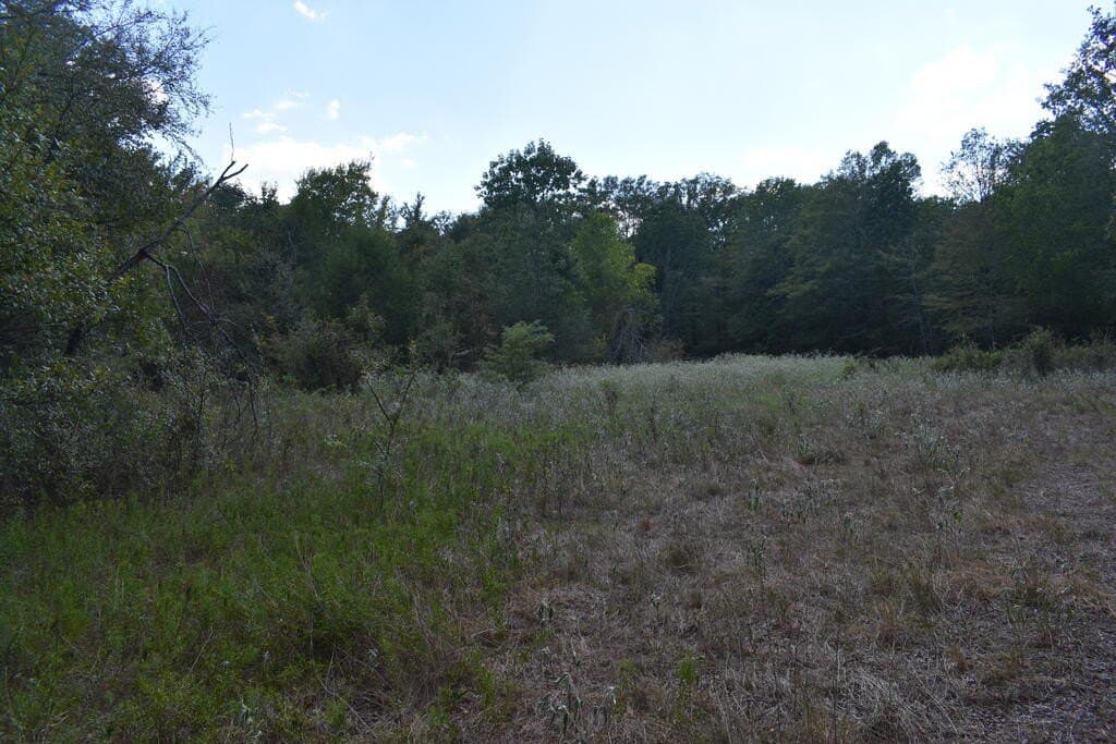 10 acres in ANDERSON County - photo 10