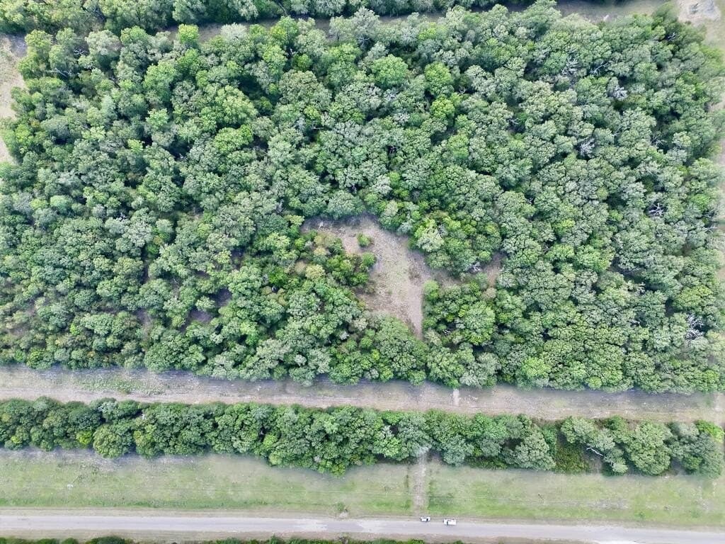 10 acres in ANDERSON County - photo 16