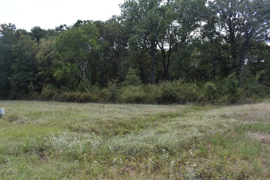 10 acres in ANDERSON County - photo 5