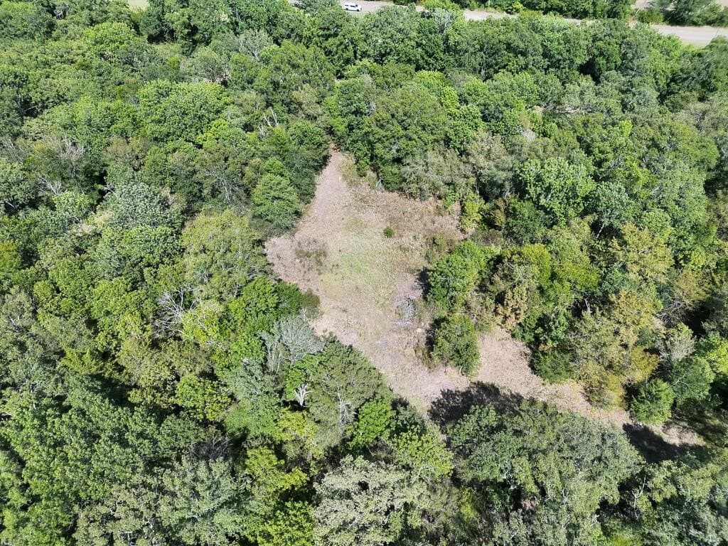 10 acres in ANDERSON County - photo 14