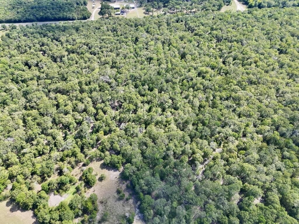 10 acres in ANDERSON County - photo 9
