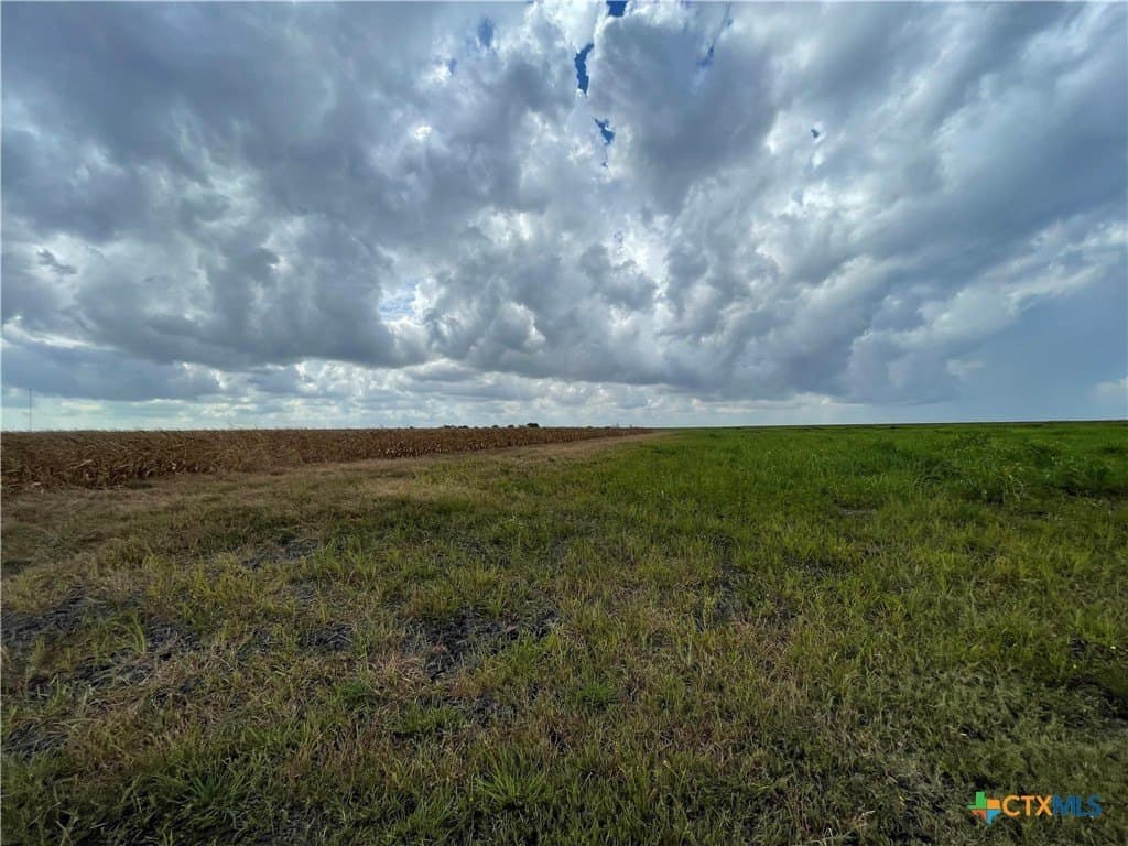 189.79 acres in Calhoun County featured view