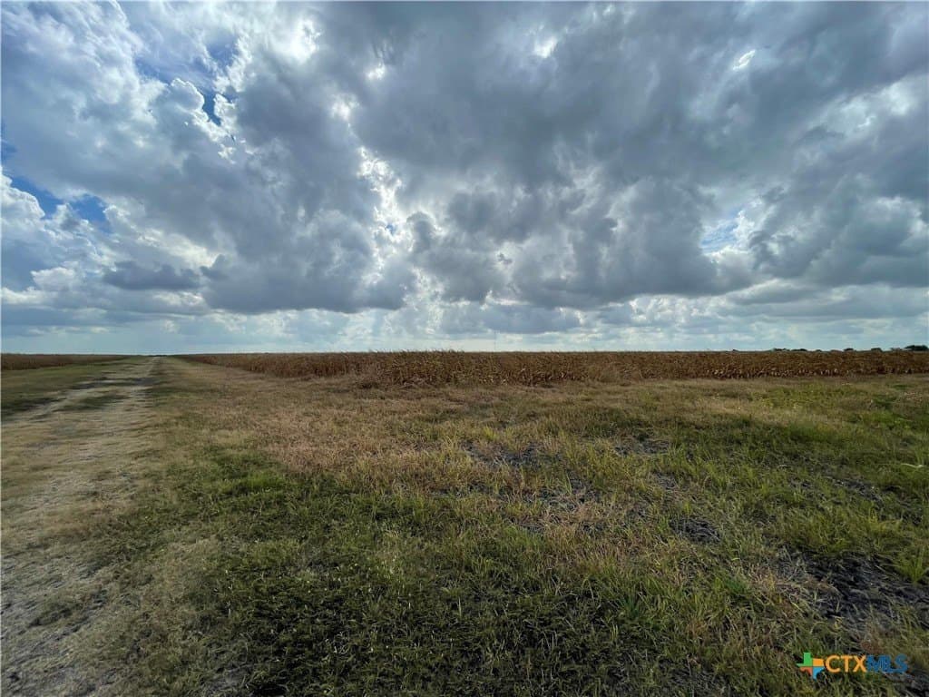189.79 acres in Calhoun County gallery image 4