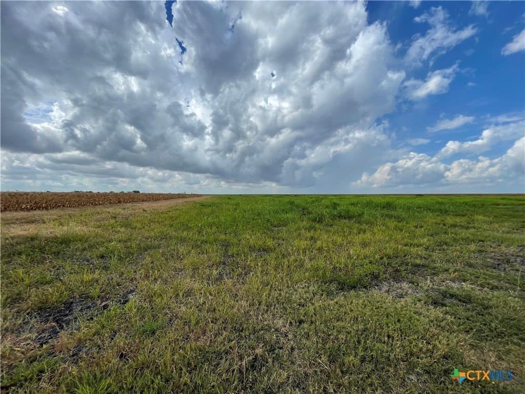 189.79 acres in Calhoun County gallery image 3
