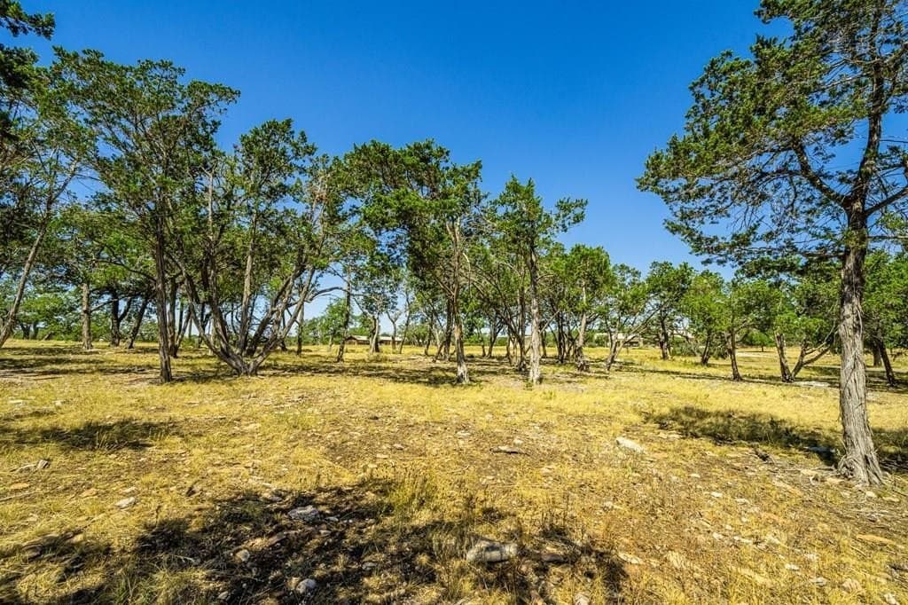 8.93 acres in Gillespie County gallery image 3