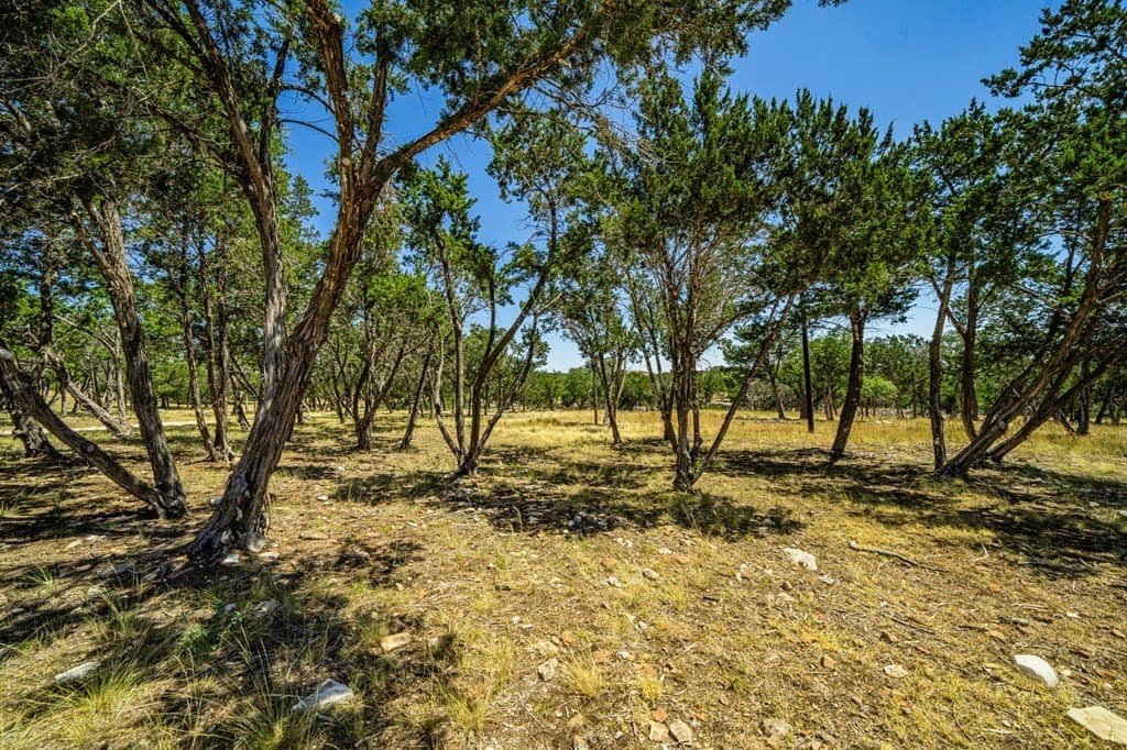 8.93 acres in Gillespie County - photo 13