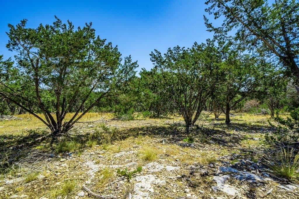 8.93 acres in Gillespie County - photo 14
