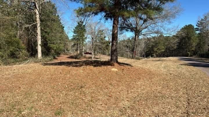 3 acres in Texas County gallery image 2