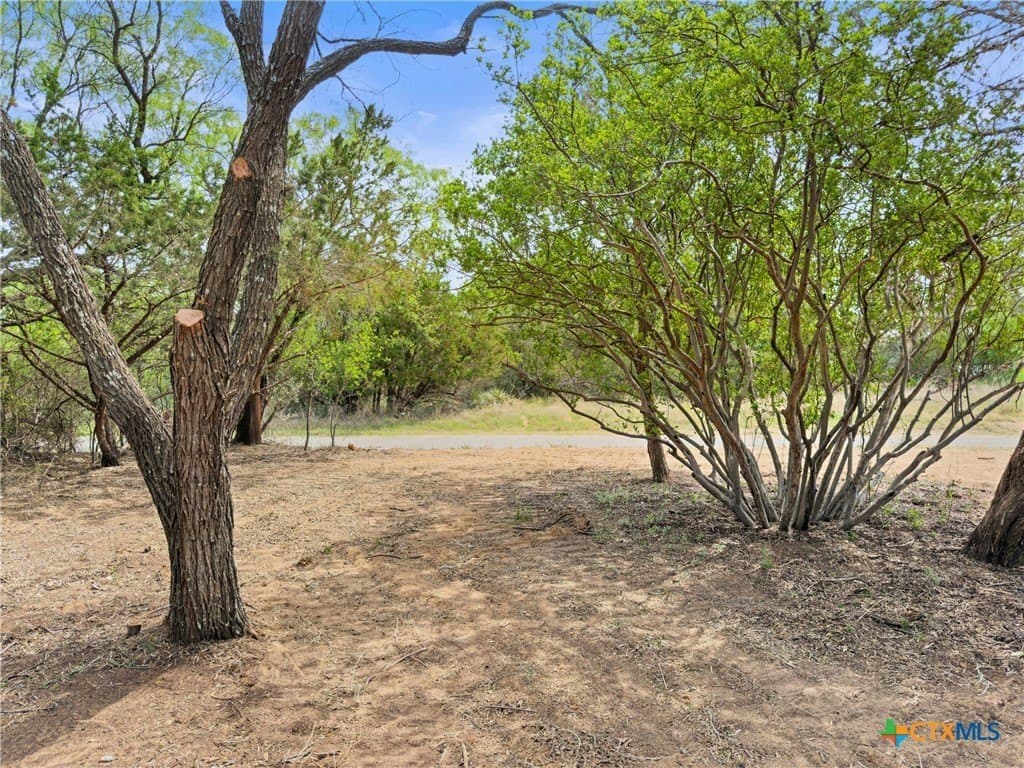 0.23 acres in Burnet County - photo 11
