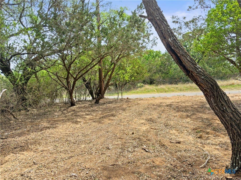0.23 acres in Burnet County - photo 12