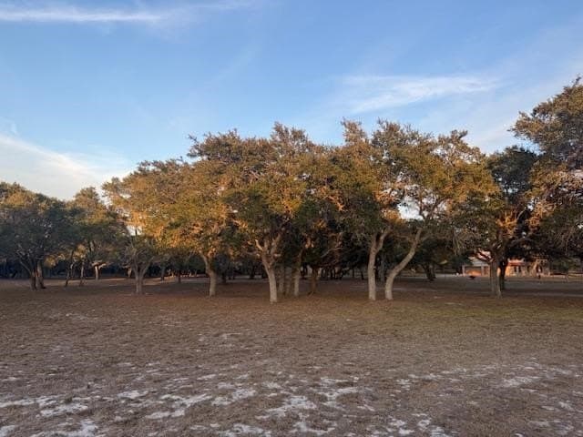 5 acres in San Patricio County gallery image 4