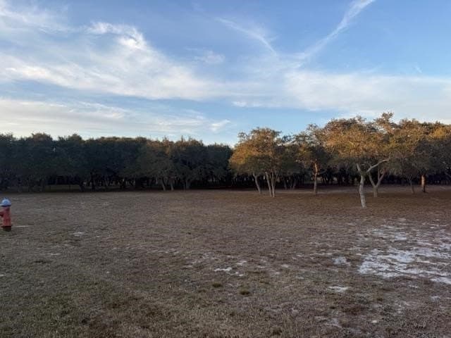 5 acres in San Patricio County featured view