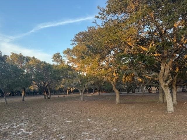 5 acres in San Patricio County gallery image 2