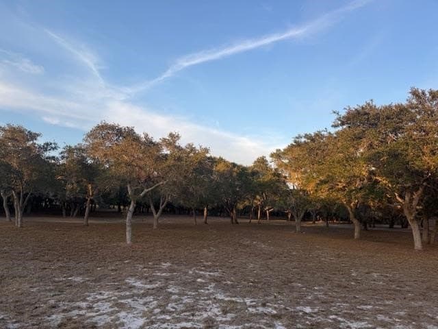 5 acres in San Patricio County gallery image 3