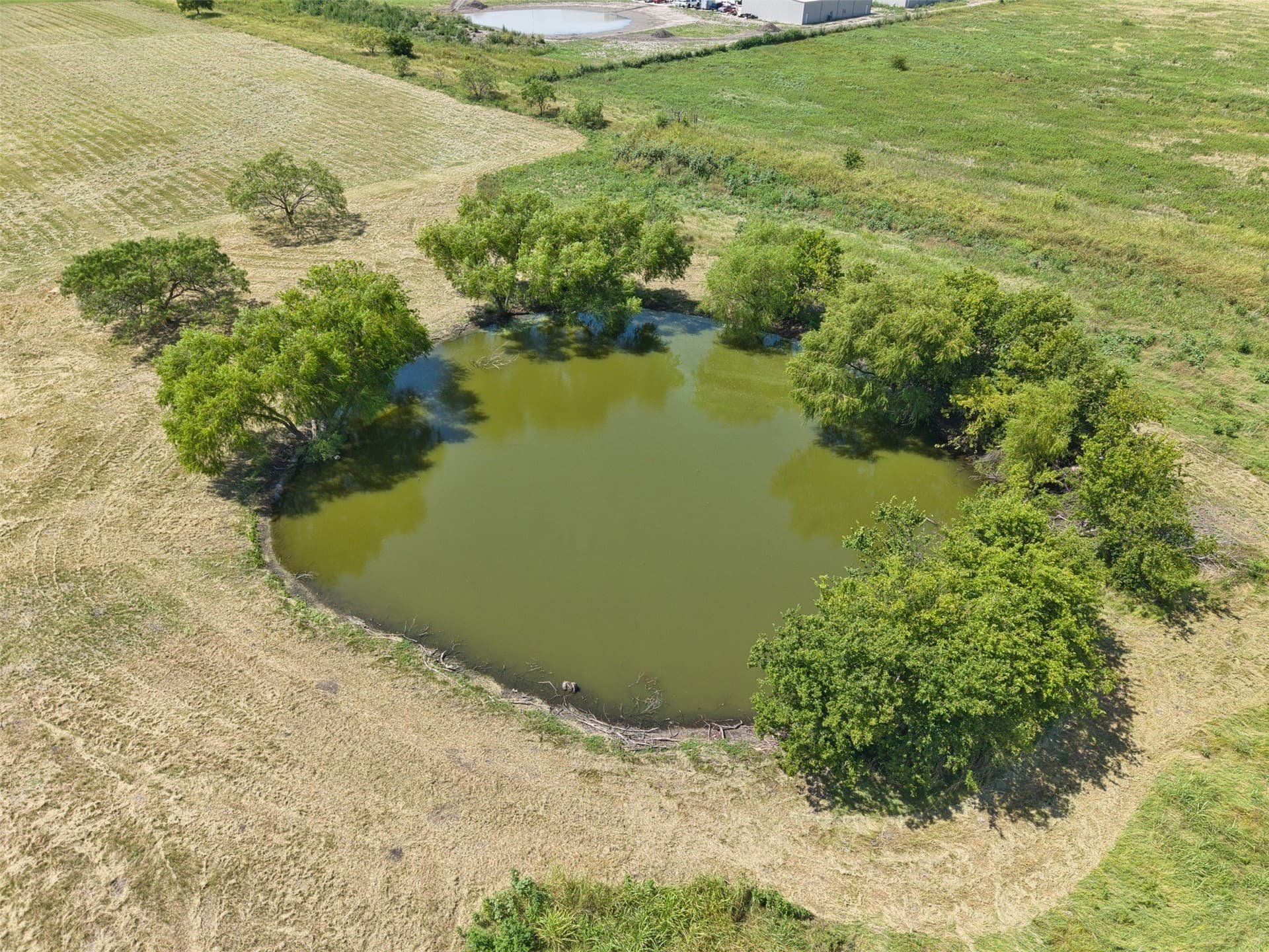 16.81 acres in Johnson County - photo 8