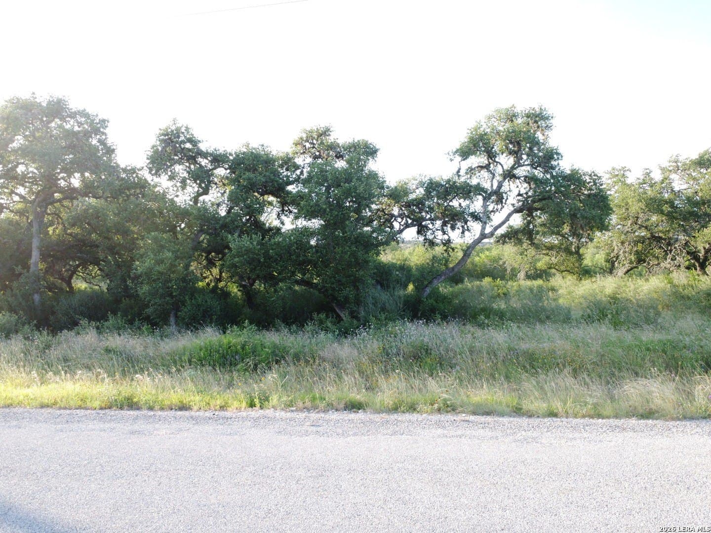 5.47 acres in Medina County - photo 21