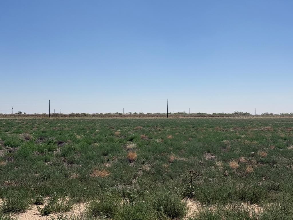 2.08 acres in Gaines County