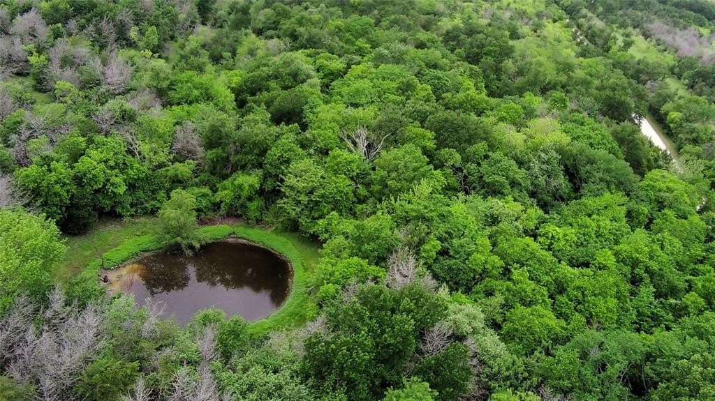 20.74 acres in Limestone County featured view