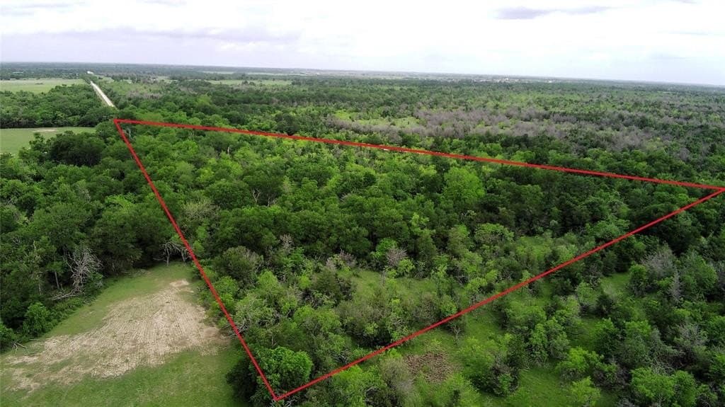 20.74 acres in Limestone County gallery image 2
