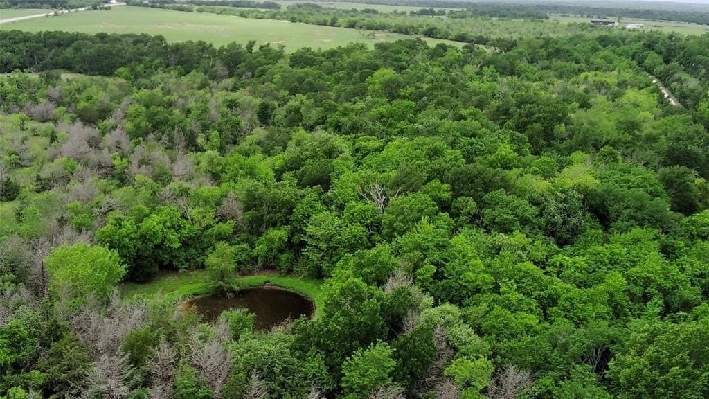 20.74 acres in Limestone County gallery image 4