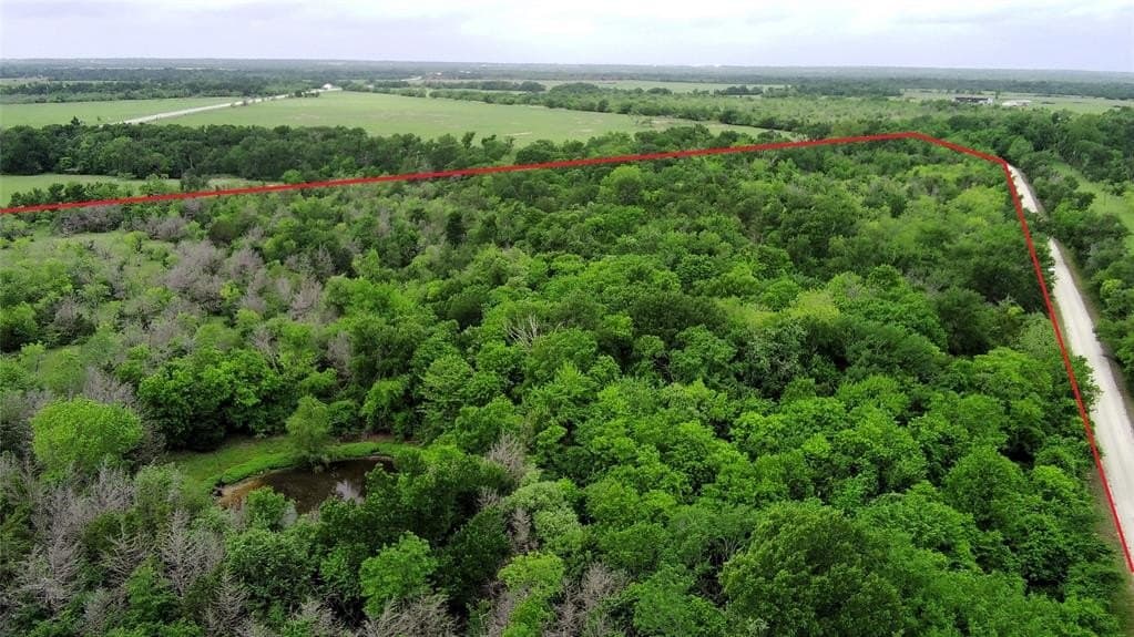 20.74 acres in Limestone County gallery image 3