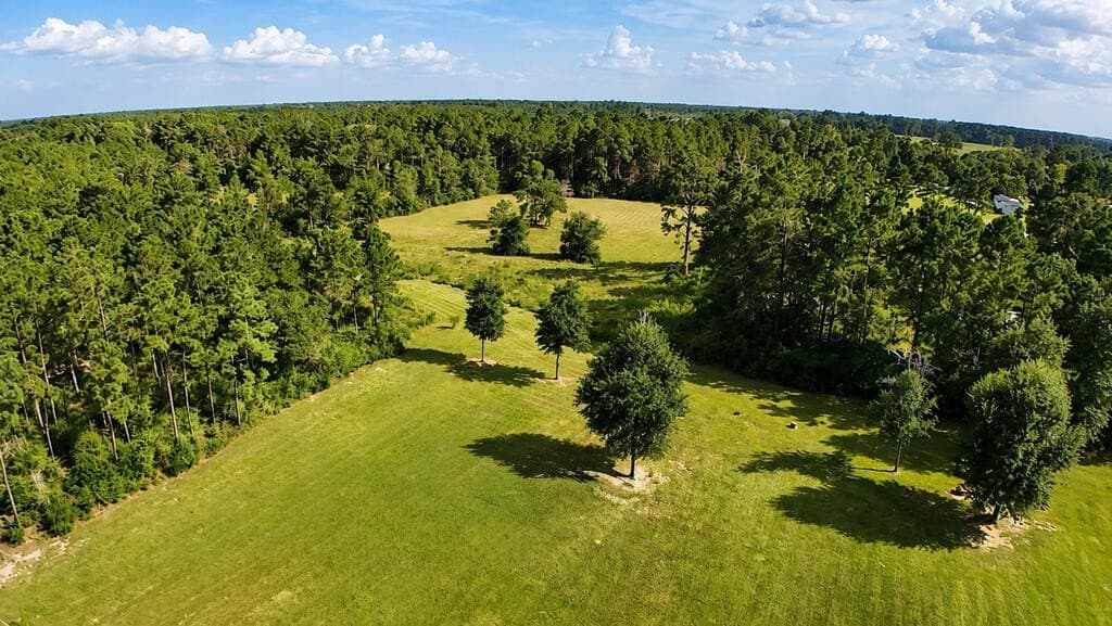 1,216 acres in Texas County - photo 4