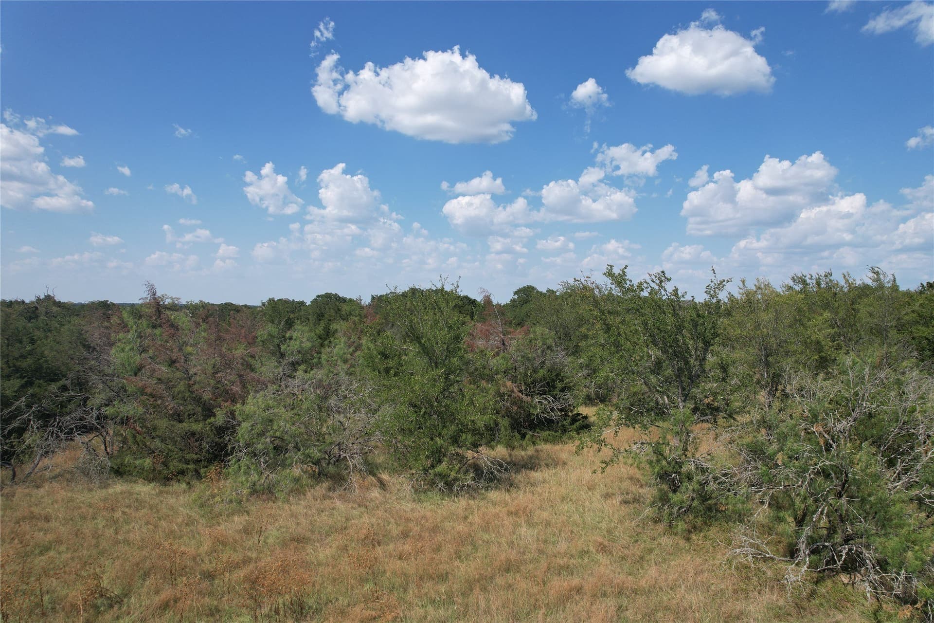 3.32 acres in Brazos County - photo 4