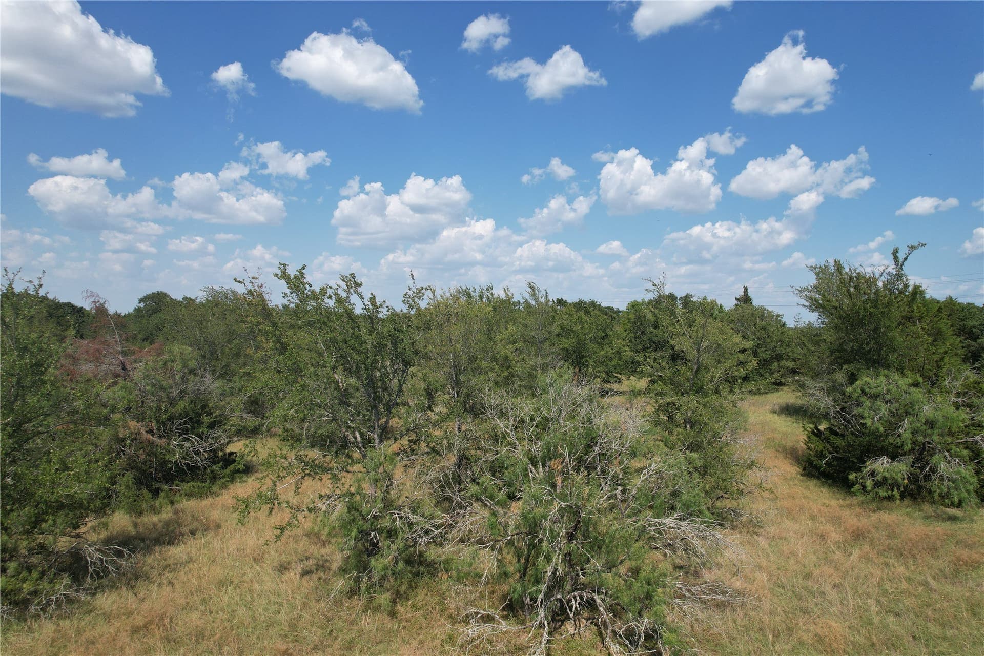3.32 acres in Brazos County - photo 6