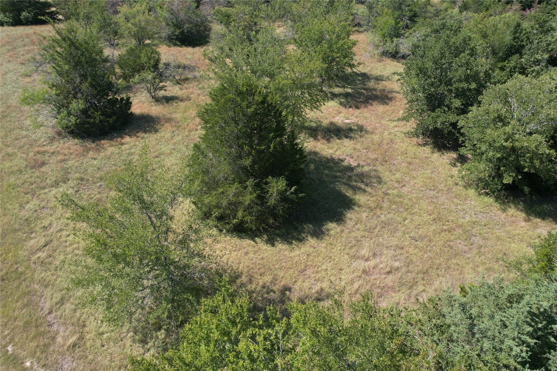 3.32 acres in Brazos County - photo 5