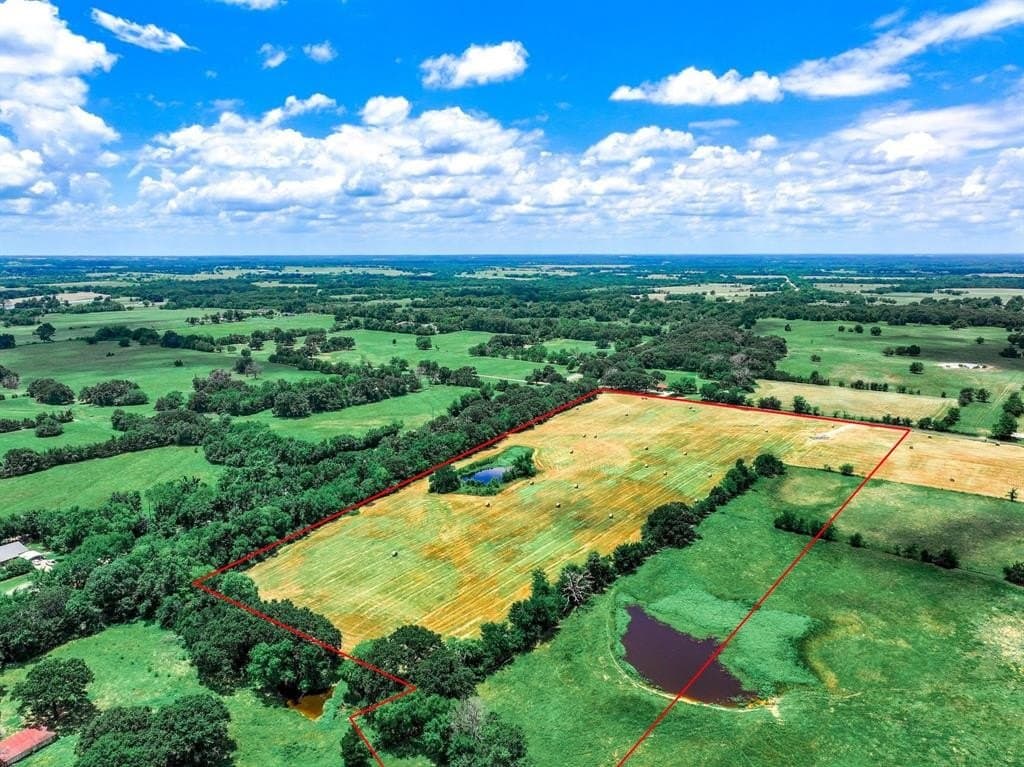 18.17 acres in Hopkins County gallery image 4