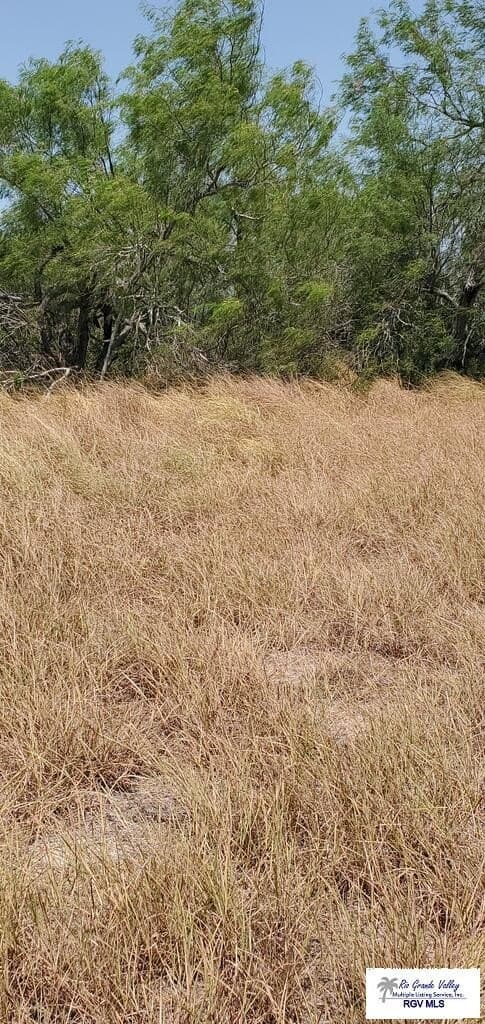 0.38 acres in CAMERON County - photo 4