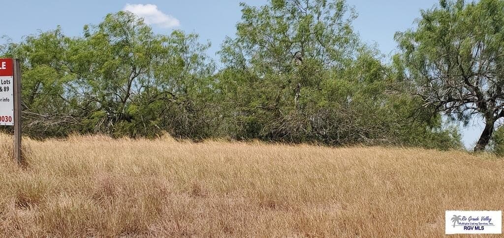 0.38 acres in CAMERON County - photo 5