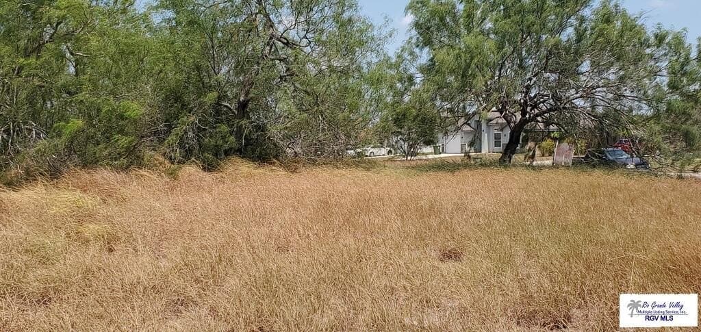 0.38 acres in CAMERON County - photo 3