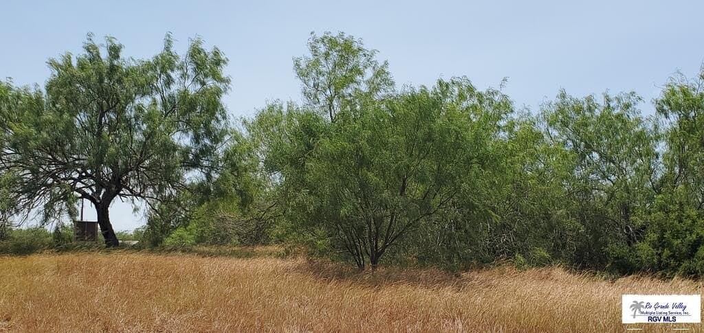 0.38 acres in CAMERON County - photo 2