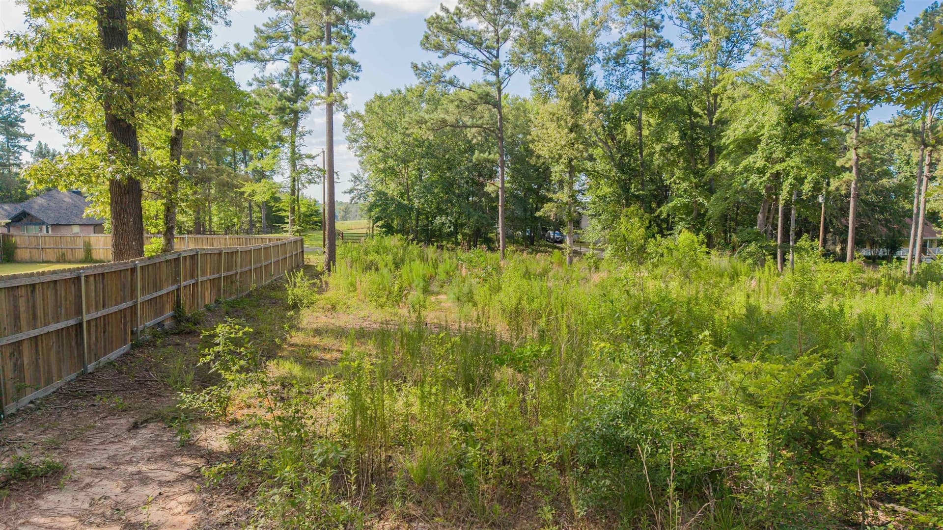 0.33 acres in Upshur County - photo 12