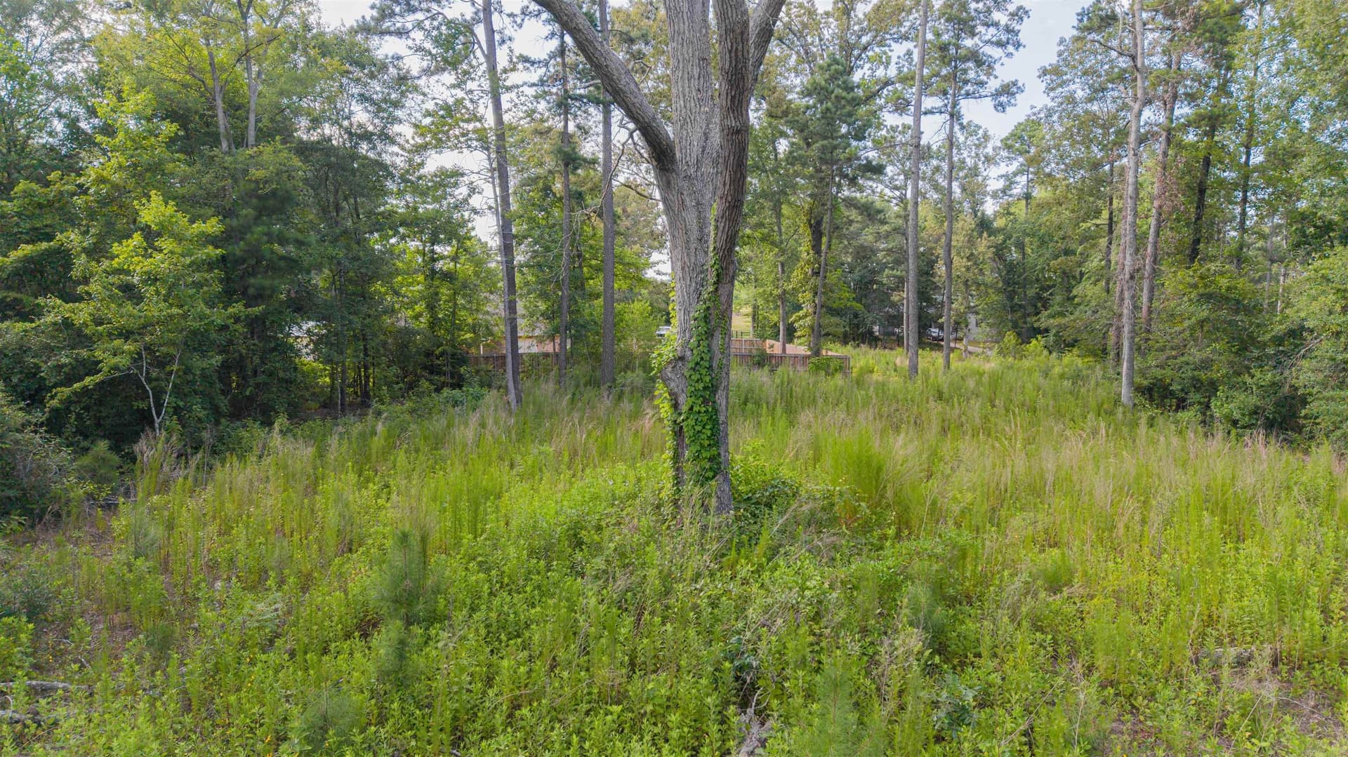 0.33 acres in Upshur County - photo 13