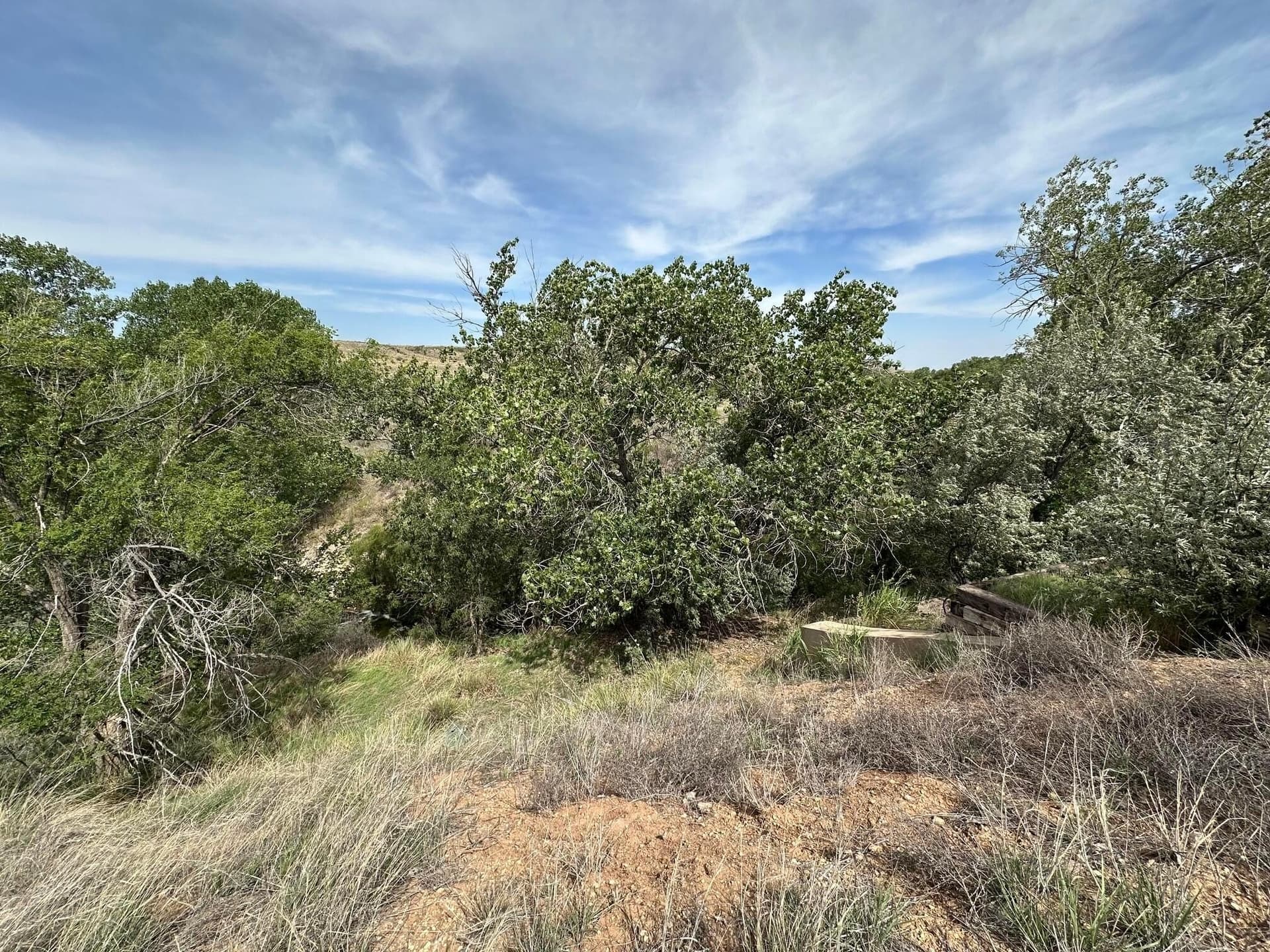 20.31 acres in Potter County - photo 9