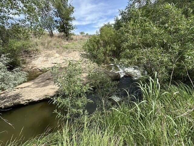 20.31 acres in Potter County gallery image 2