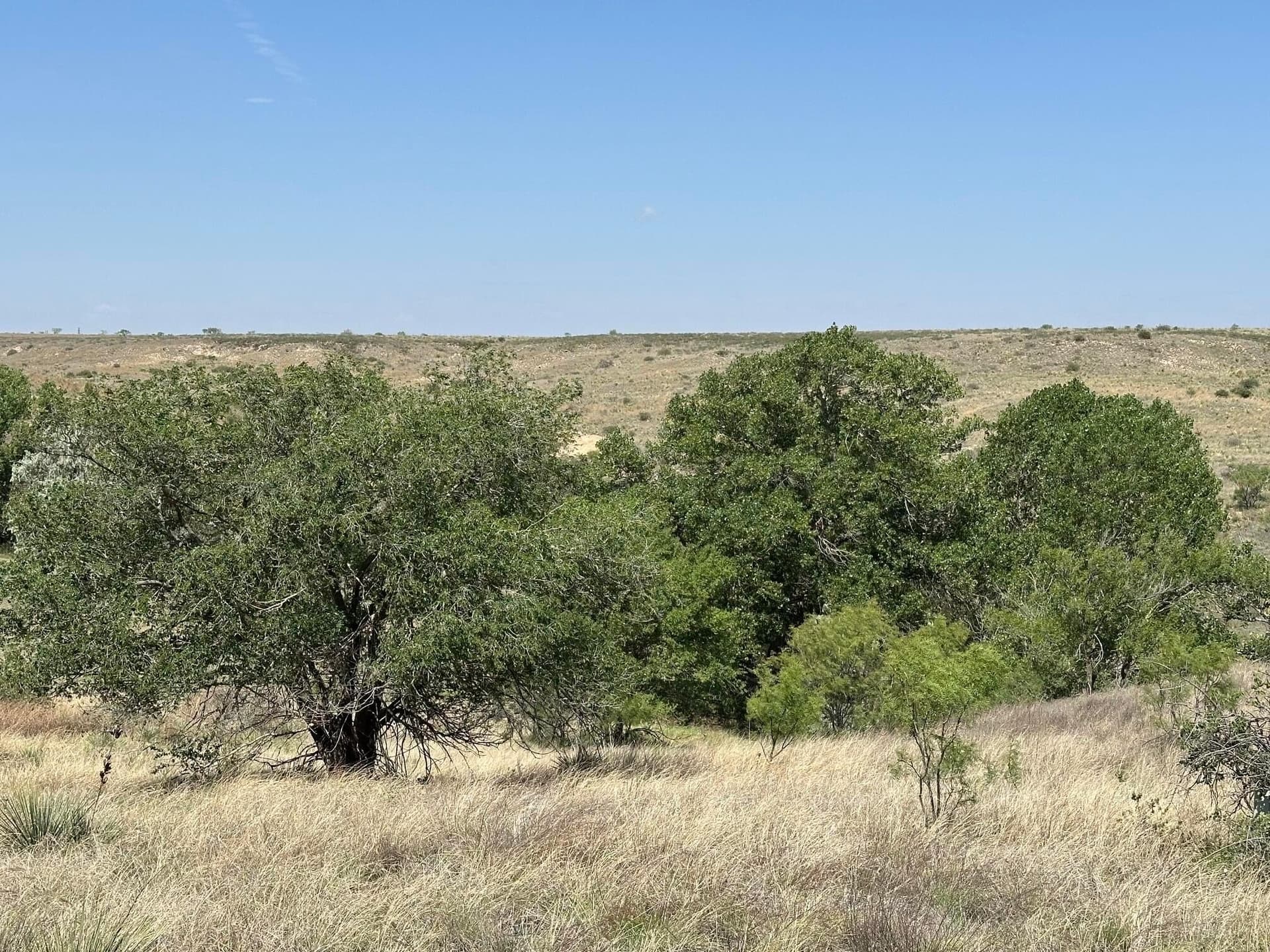 20.31 acres in Potter County featured view