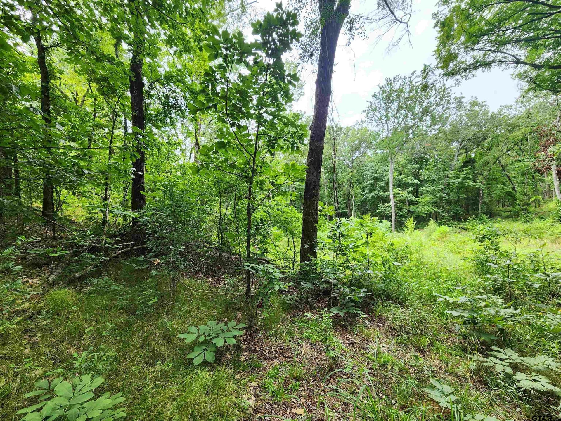 1.78 acres in Smith County - photo 6