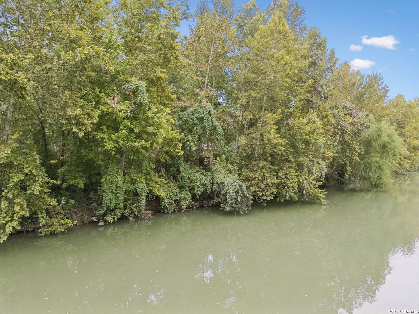 0.22 acres in Guadalupe County - photo 26
