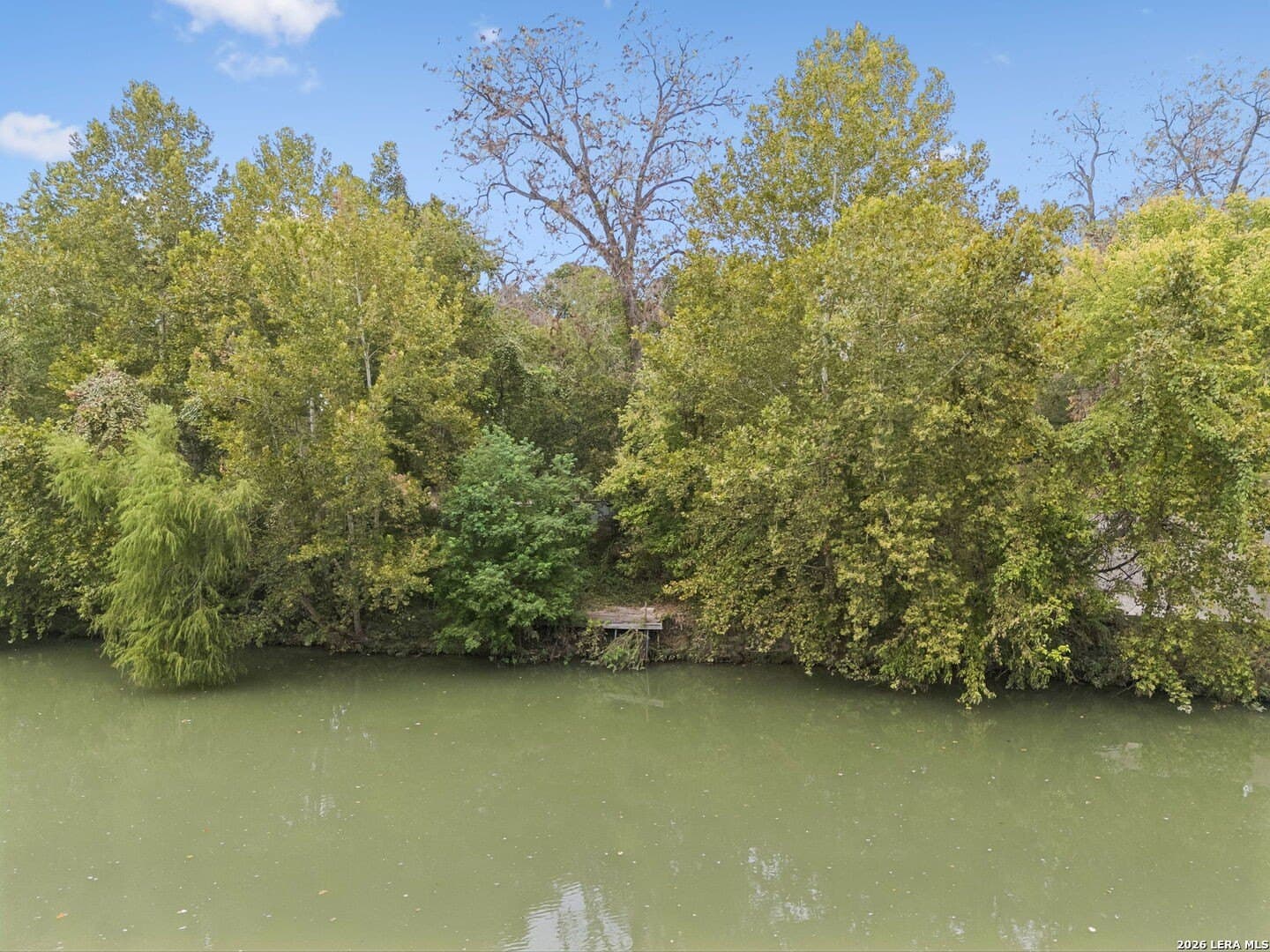 0.22 acres in Guadalupe County - photo 28