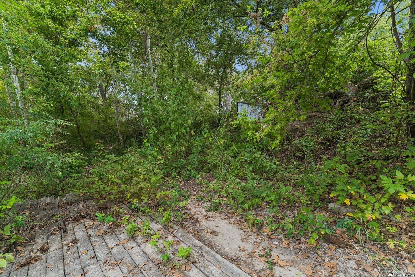 0.22 acres in Guadalupe County - photo 19