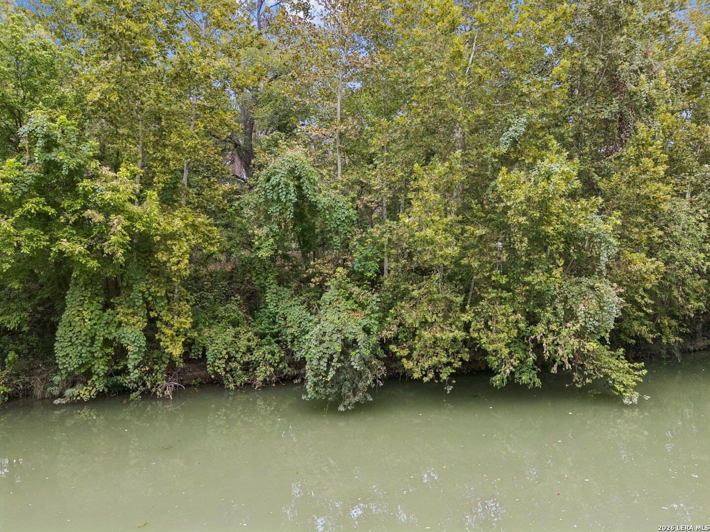 0.22 acres in Guadalupe County - photo 25