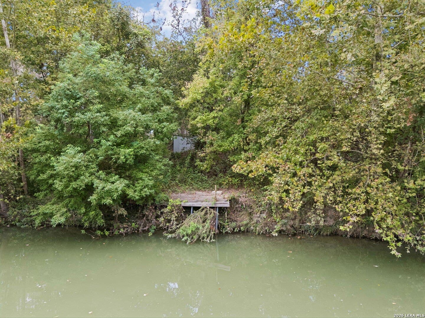 0.22 acres in Guadalupe County - photo 29
