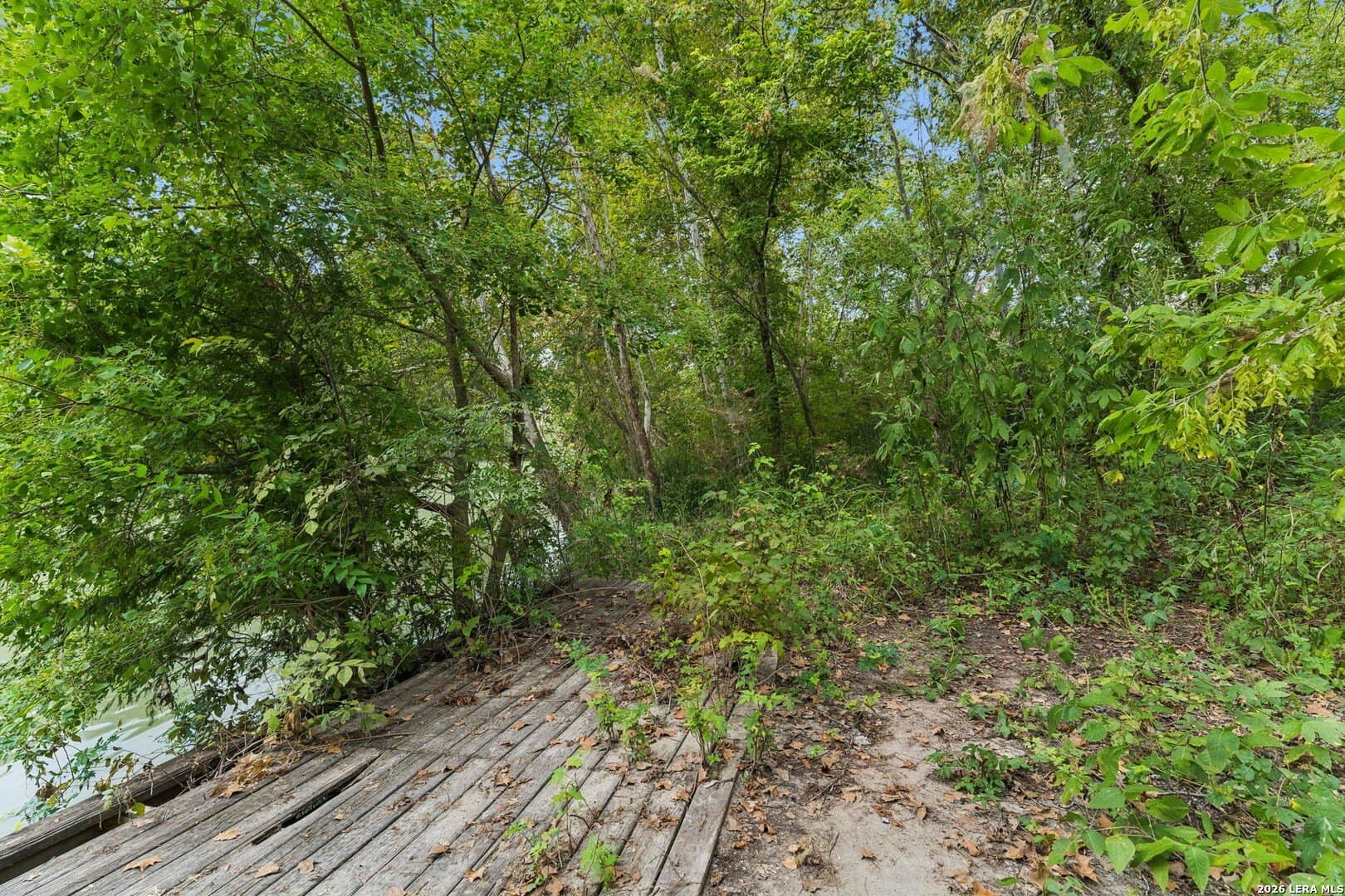 0.22 acres in Guadalupe County - photo 17
