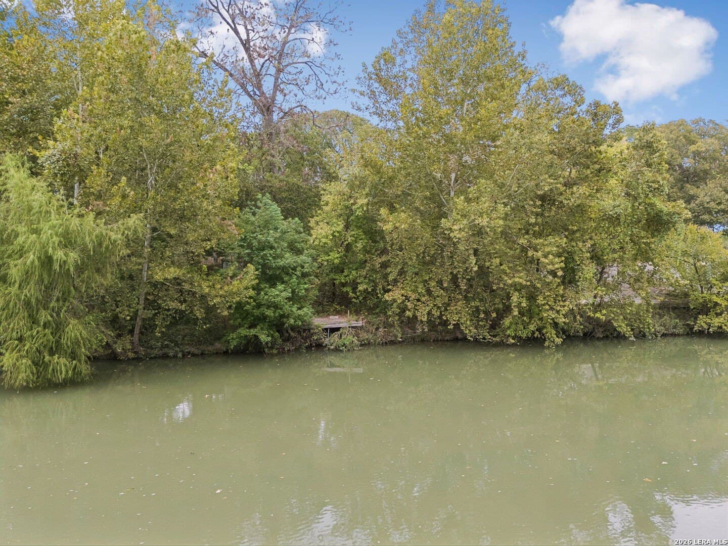 0.22 acres in Guadalupe County - photo 27