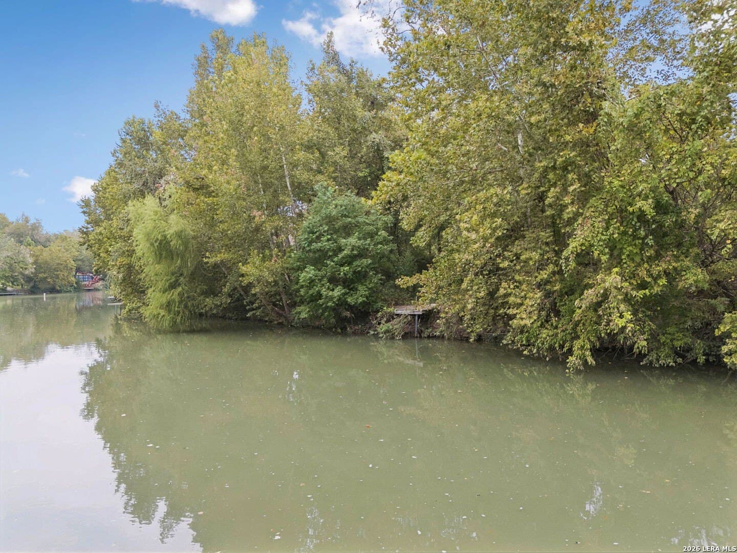 0.22 acres in Guadalupe County - photo 30