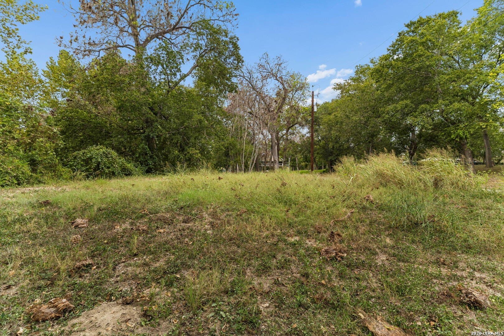 0.22 acres in Guadalupe County - photo 12