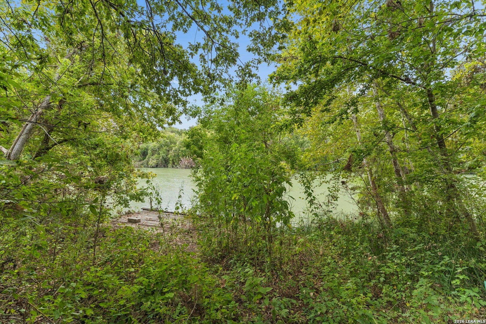 0.22 acres in Guadalupe County - photo 16